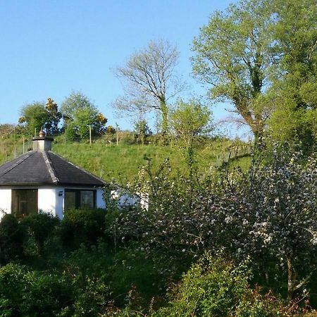 Drombrow Cottage Бэнтри Экстерьер фото